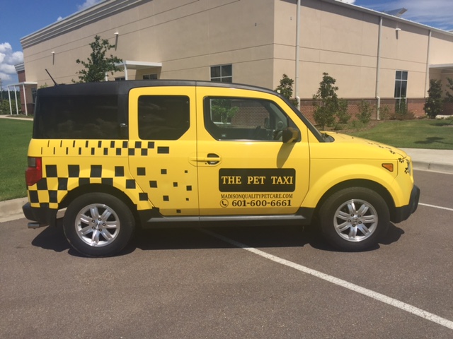 Taxi 4