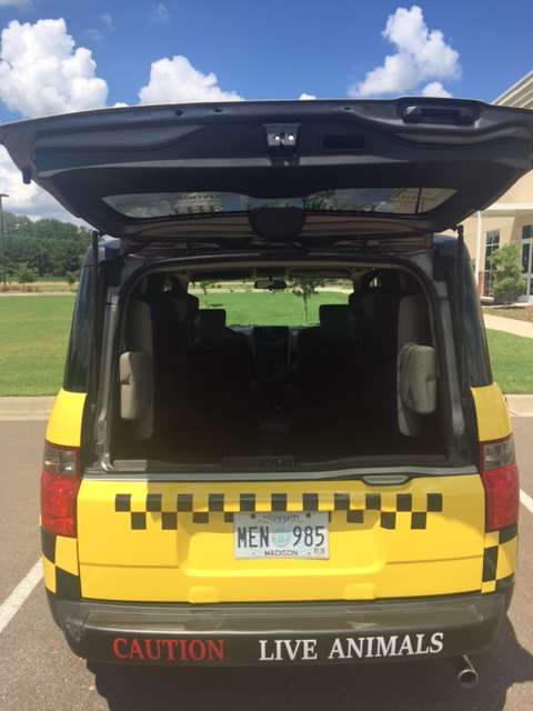 Taxi 7
